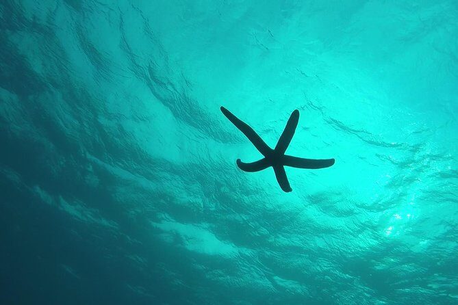 two-hour-group-snorkeling-trip-to-the-blue-cave11