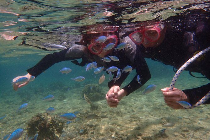 two-hour-group-snorkeling-trip-to-the-blue-cave8