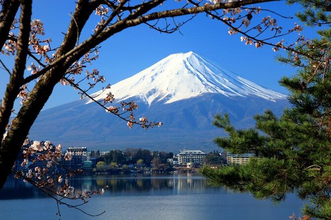 VIP Mt Fuji Private Tour From Tokyo With Sengen Shrine Visit