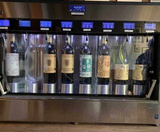 Wine Country Day Trip From Tokyo