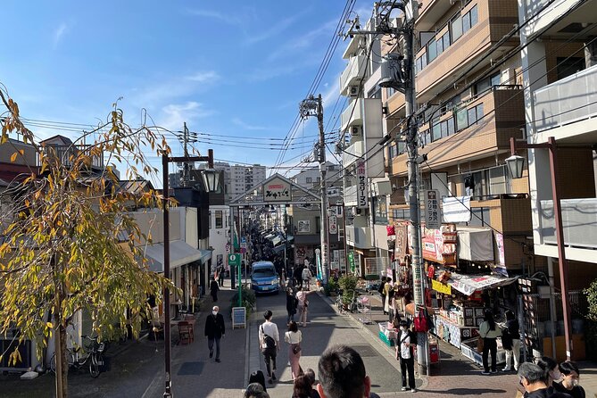 Yanaka and Asakusa Walk Around DOWNTOWN TOKYO Like a Local - Parks and Gardens: Embracing Nature in the Heart of Tokyo